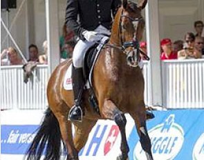 Anders Dahl aboard Cashmir, the winner of the 2012 Pavo Cup qualifier in Hartpury :: Photo © Digishots