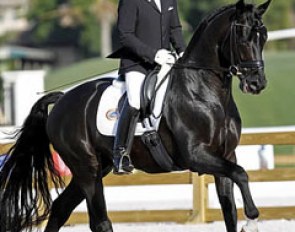 Jason Canton and Supremat OLD at the 2012 Global Dressage Festival :: Photo © Sue Stickle