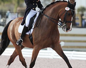 Shawna Harding on Come On III at the 2012 CDI-W Wellington :: Photo © Phelpsphotos.com