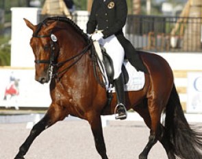 Argentinian Micaela Mabragana on Hampton Green Farm's Cuatrero IV :: Photo © Sue Stickle