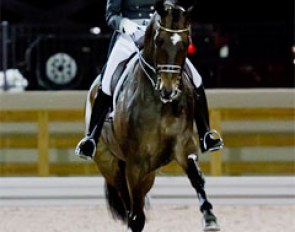 Tinne Vilhelmson in the Grand Prix Kur at the 2012 Global Dressage Festival :: Photo © Sue Stickle