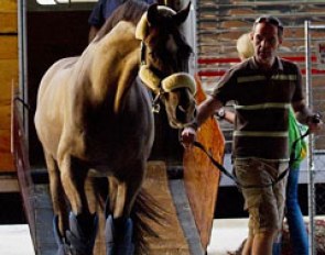 Valegro arrives at the Jim Brandon Equestrian Centre for the 2012 World Dressage Masters in Palm Beach :: Photo © Sue Stickle