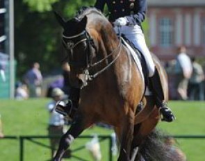 Swiss Elizabeth Eversfield-Koch on Rokoko N