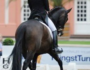 Tara Schneider on Little Diamond