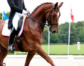 Mateusz Cichon on Furst Donnerhall