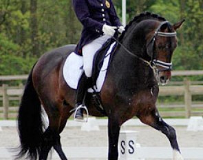 Katrien Verreet and Bailamos Biolley at the 2012 CDN Zandhoven