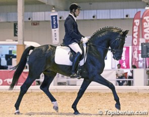 Angel Dorado Martinez and Dancing Dream at the 2012 Spanish Young Horse Championships in Zaragoza :: Photo © Top Iberian