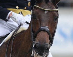 Patrik Kittel and Toy Story were eliminated because the horse bit on its lip in the first piaffe and showed some bloody foam