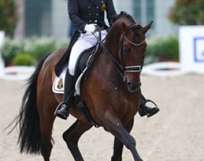 Julie de Deken and Lucky Dance (by Lucky Lionell) at the 2013 CDIO Aachen :: Photo © Astrid Appels