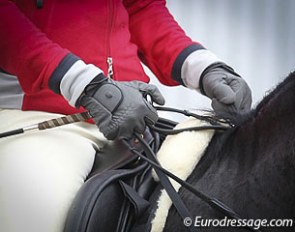 Dressage hands :: Photo © Astrid Appels