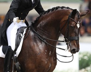 Andreas Helgstrand on Akeem Foldager :: Photo © Astrid Appels