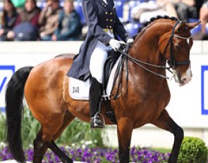 Veronique Henschen on Fontalero