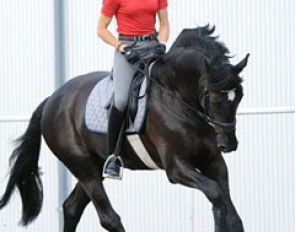 Ingrid Klimke on youngster Silbermond
