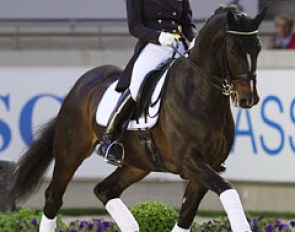Former U25 rider Jenny Lang and Loverboy gain the attention of the selectors at the 2013 CDIO Aachen :: Photo © Astrid Appels