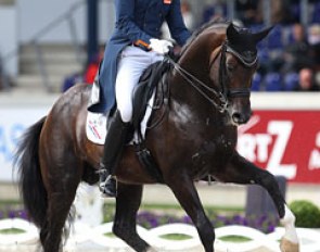 Diederik van Silfhout on Arlando