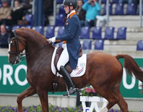 Diederik van Silfhout on Vorst D