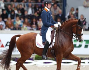 Diederik van Silfhout on Vorst D