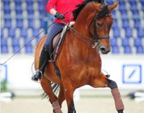 Isabell Werth schooling Don Johnson