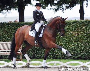 Isabell Werth warming up Don Johnson at the 2013 CDIO Aachen :: Photo © Barbara Schnell