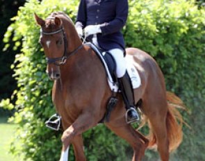 Emile Faurie on the Hanoverian branded Duke Ellington (by Dimaggio x Rotspon)