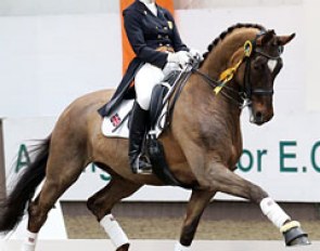 Erin Williams and Fleurie are victorious at the 2013 CDI Addington :: Photo © Risto Aaltonen