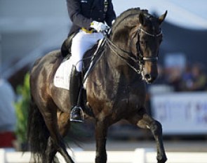 Christoph Koschel and Rubin Cortes at the 2013 CDI Arnhem :: Photo © Arnd Bronkhorst