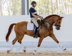 Mark Kiddle and Waitano :: Photo © Cameron Grant