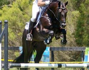 Grand Prix rider David Shoobridge lives up to the pact by taking Smash Hit to a one-day event