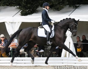 Melanie Hofmann and Show Girl at the 2013 Swiss Warmblood Young Horse Championships :: Photo © Elisabeth Weiland
