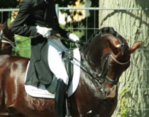 Thomas Sigtenbjerggaard and Nintendo in the warm up ring at the 2013 Danish Championships :: Photo © Veronica Starstone Merlin