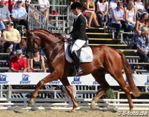 Lena Bollmann on Querello