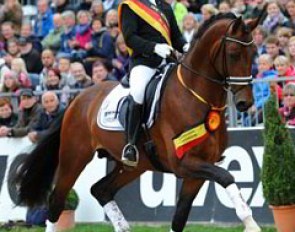 Hermann Burger and Escolar win the 4-year old riding horse stallion class at the 2013 Bundeschampionate :: Photo © Barbara Schnell