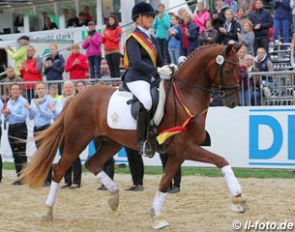 Sandra Frieling and Damon's Dream win the 3-year old mares and geldings class at the 2013 Bundeschampionate