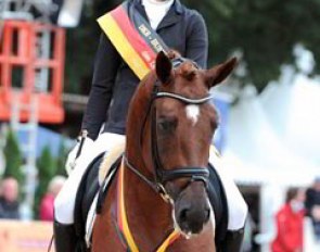 Lisa Neukäter and Furst Fohlenhof win the 3-year old riding horse stallion class