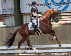 Jessica Michel and Don Juan de Hus at the KWPN/KNHS Wild Card Day in Bunschoten :: Photo © Leanjo de Koster