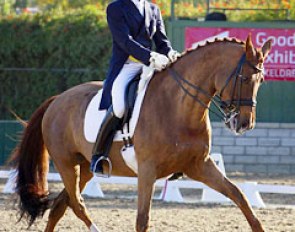 Guenter Seidel and Coral Reef Wylea (aka Winci) at the 2013 CDI Burbank :: Photo © Amy McCool