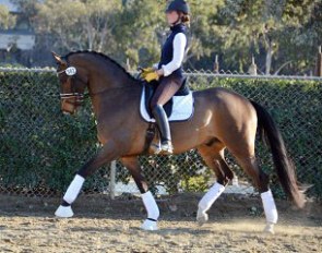 Sigrid Wolff and Kodaly at a U.S. Young Horse Observation Session