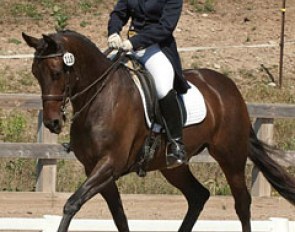 Canadian junior rider Cassandra Jessop on Mariska