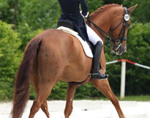 Claire Berland on Amani