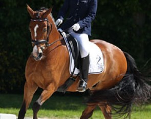 Camille Boireau and Hesselteich's Desert Rose at the 2013 CDI Compiegne :: Photo © Astrid Appels