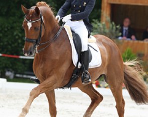 Celine Brauns and Weltrubin at the 2013 CDI Compiegne :: Photo © Astrid Appels