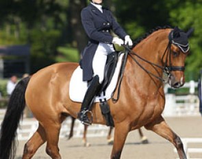 Alexa Fairchild on the 13-year old Dutch warmblood Timor (by Matterhorn x Indoctro) :: Photo © Astrid Appels