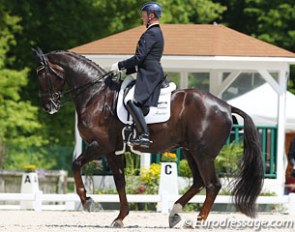 Carl Hester and Dances with Wolves at the 2013 CDI Compiegne :: Photo © Astrid Appels