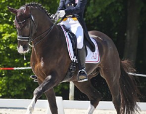 Polish Anna Jedrzejczyk on Firefly at the 2013 CDI Compiegne :: Photo © Astrid Appels