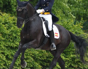 Juan Matute Guimon on Don Diego at the 2013 CDI Compiegne :: Photo © Astrid Appels