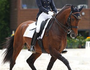 Paula Matute on the PRE stallion Escritor