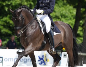 Henri Ruoste and Jojo AZ at the 2013 CDI Compiegne :: Photo © Astrid Appels