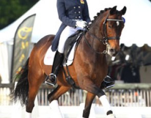 Maisie Scruton and Hot Chocolate at the 2013 CDI Compiegne :: Photo © Astrid Appels