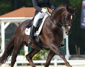 Tanya Seymour on Ramoneur