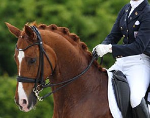 Michele Thill on Windhook